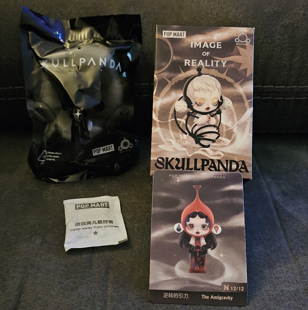 SKULLPANDA Image Of Reality " The Antigravity"